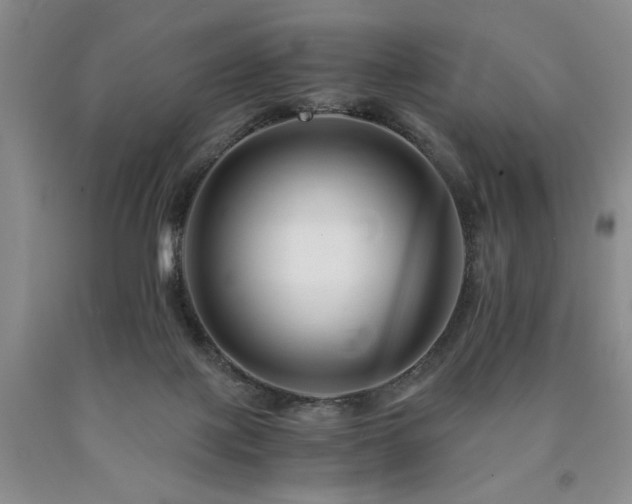 X0000090880075200707271320