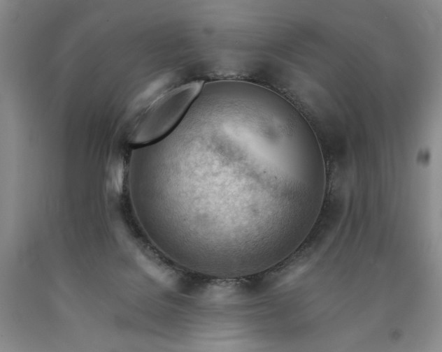 X0000090880076200707271320