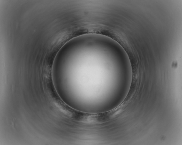 X0000090880078200707271320