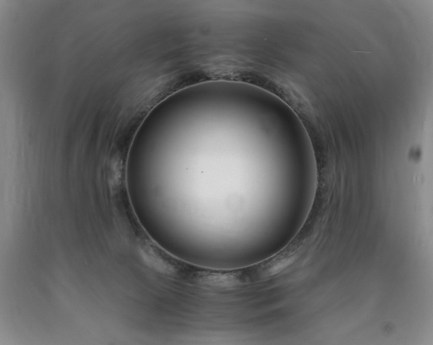 X0000090880081200707271320