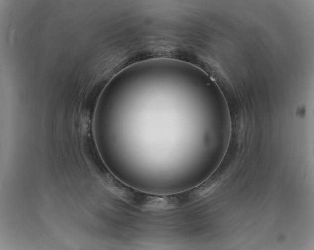 X0000090880083200707271320