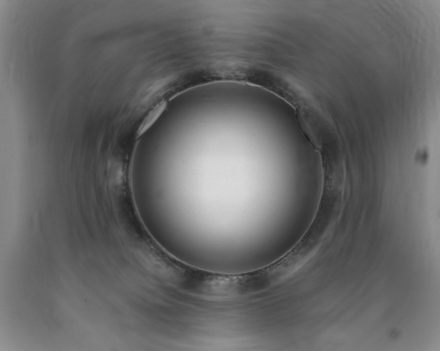 X0000090880084200707271320