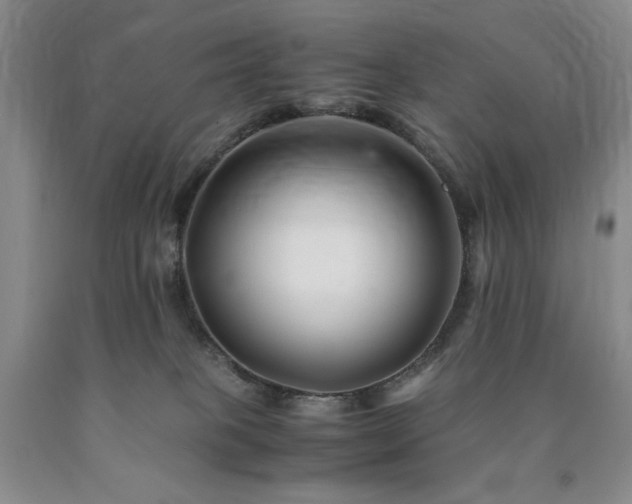 X0000090880085200707271320