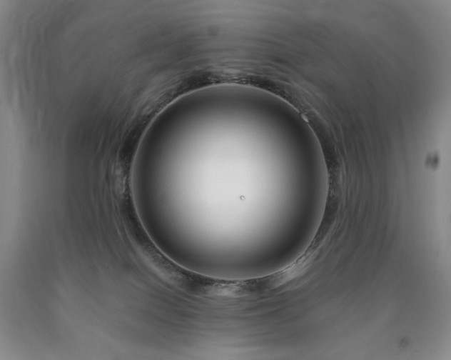 X0000090880086200707271320