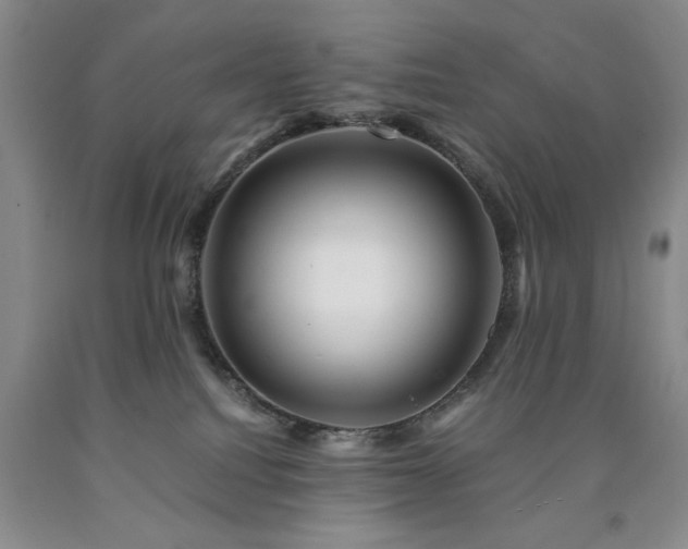 X0000090880088200707271320