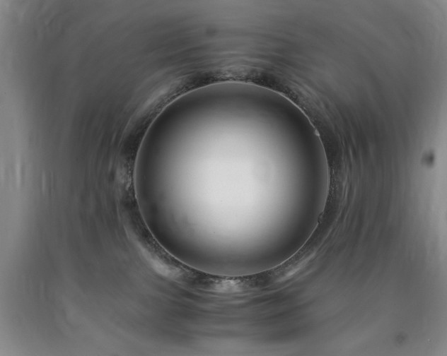 X0000090880091200707271320