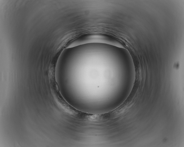X0000090880092200707271320
