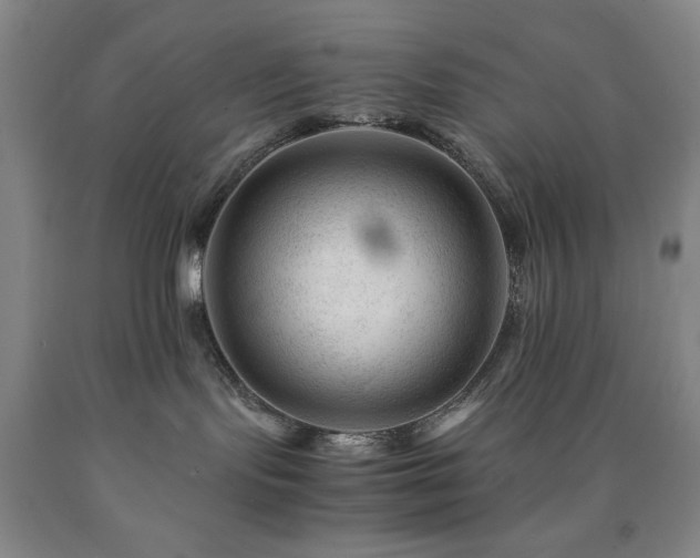 X0000090880095200707271320