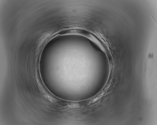 X0000090880097200707271319