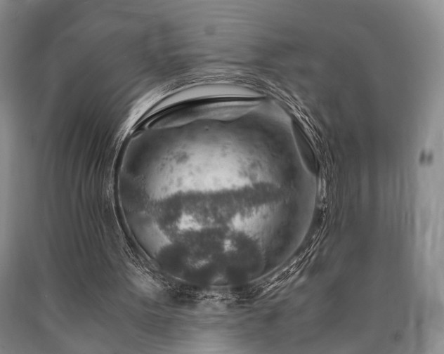X0000090880099200707271319