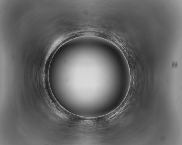 X0000090880102200707271319