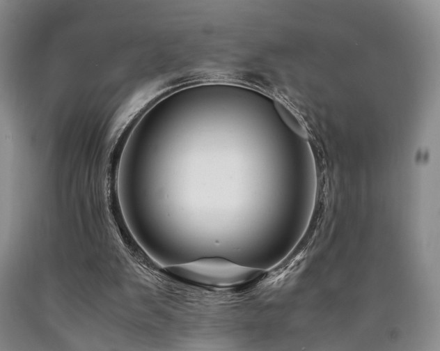 X0000090880103200707271319