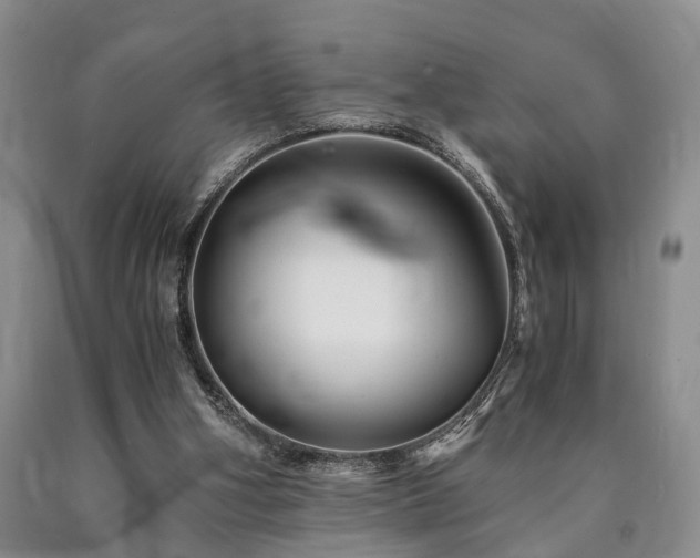 X0000090880106200707271319