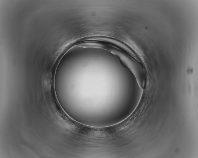 X0000090880107200707271319