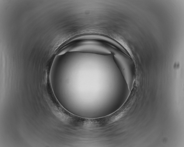 X0000090880109200707271319