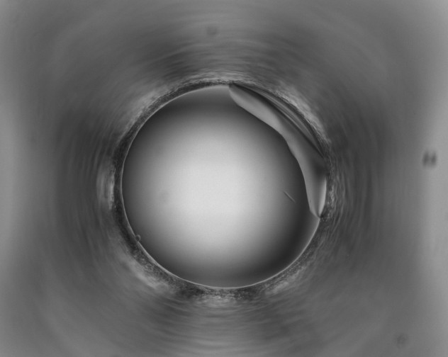 X0000090880110200707271319