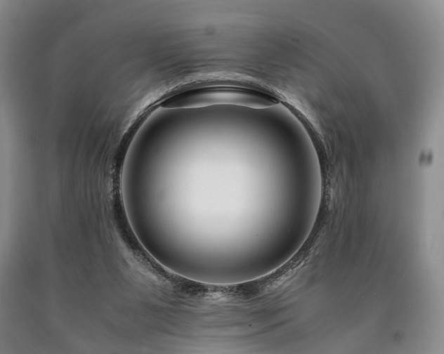 X0000090880111200707271319
