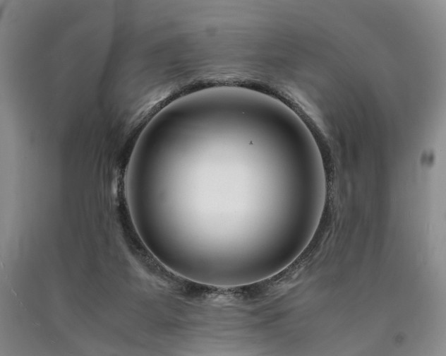 X0000090880115200707271319