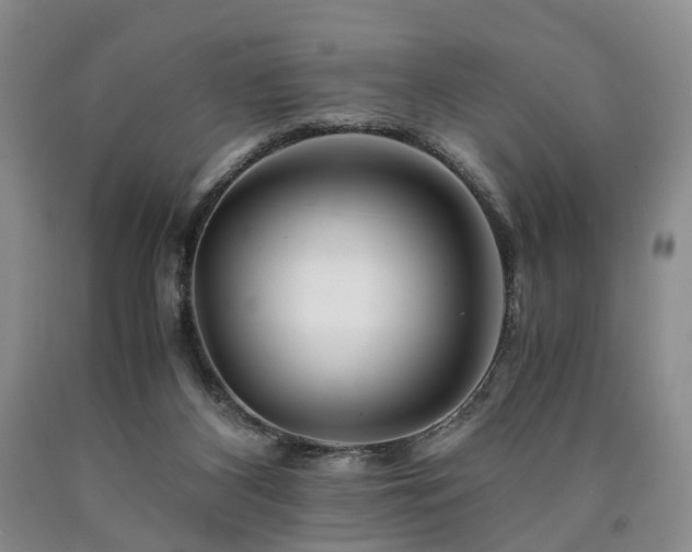 X0000090880116200707271319