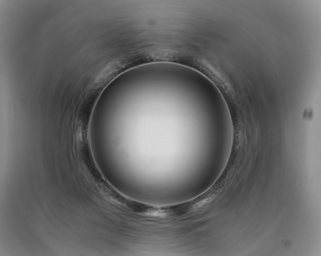 X0000090880117200707271319