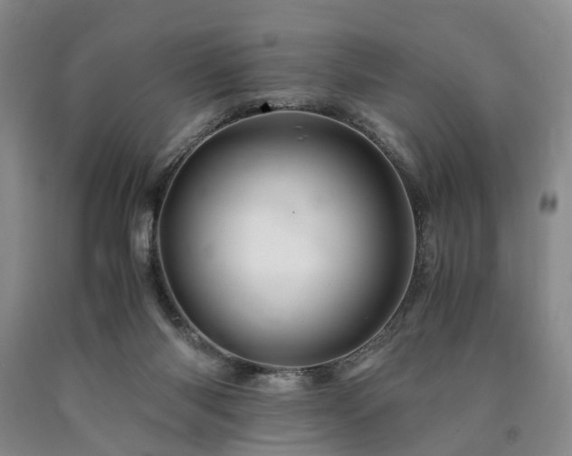 X0000090880118200707271319