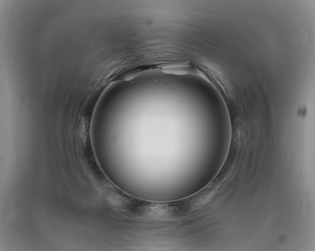 X0000090880121200707271319