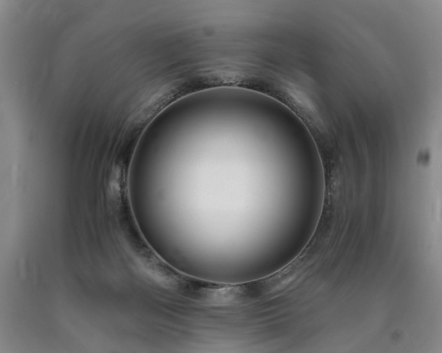 X0000090880122200707271319