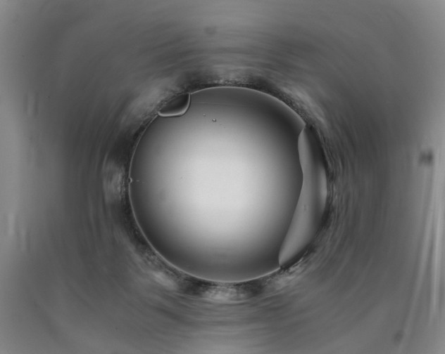X0000090880123200707271319