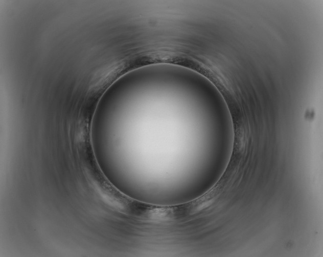 X0000090880126200707271319