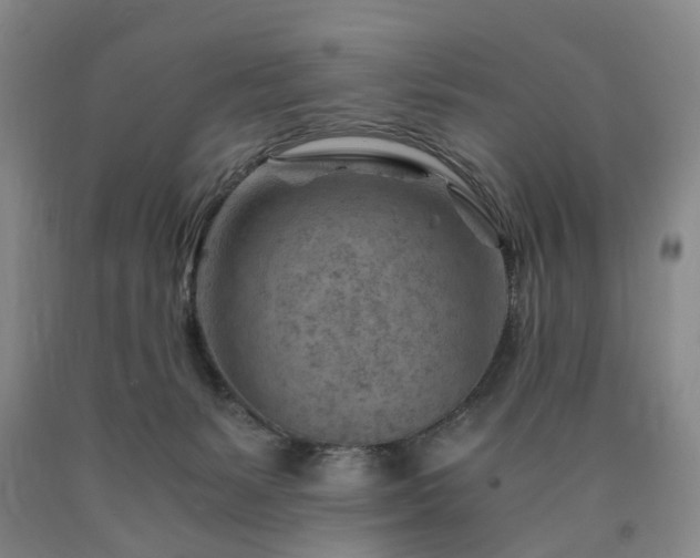 X0000090880127200707271319