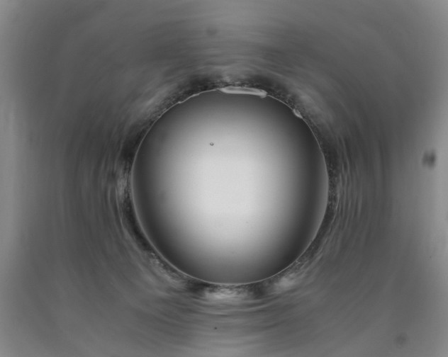 X0000090880129200707271319
