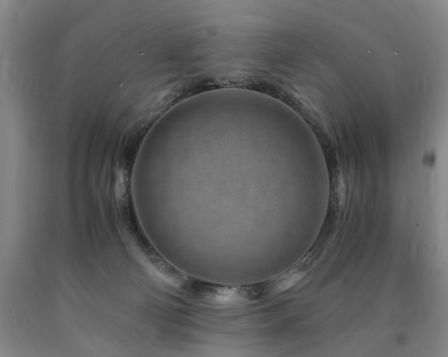 X0000090880130200707271319