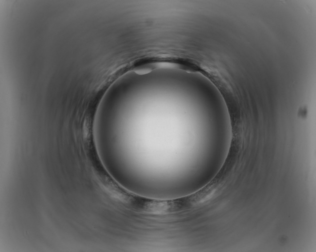 X0000090880131200707271319