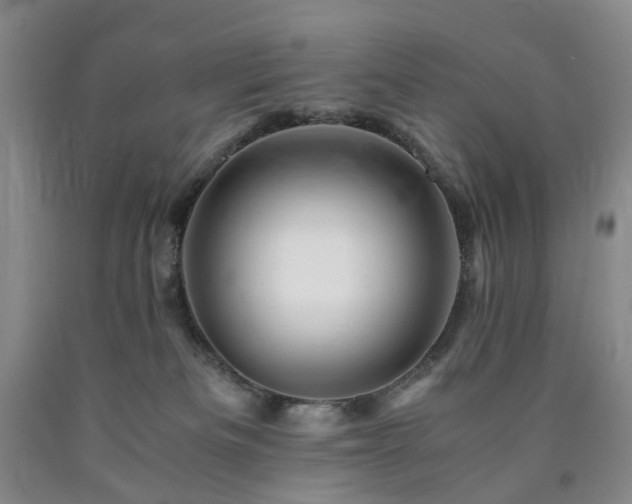 X0000090880133200707271319