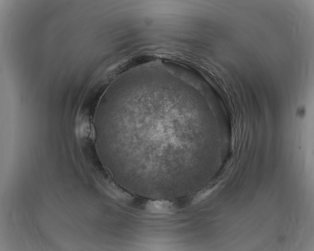 X0000090880137200707271319