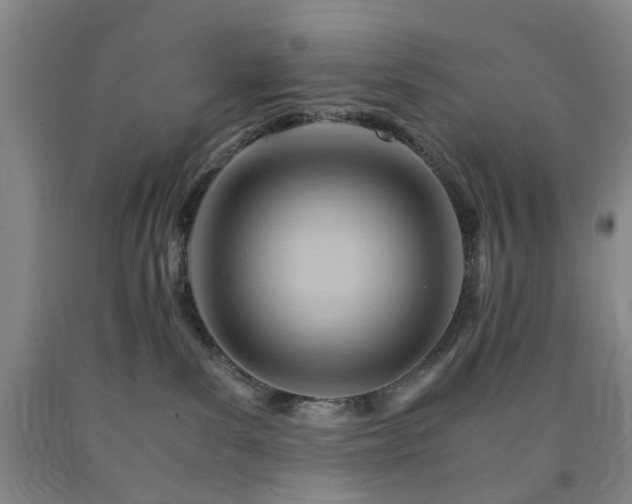 X0000090880139200707271319