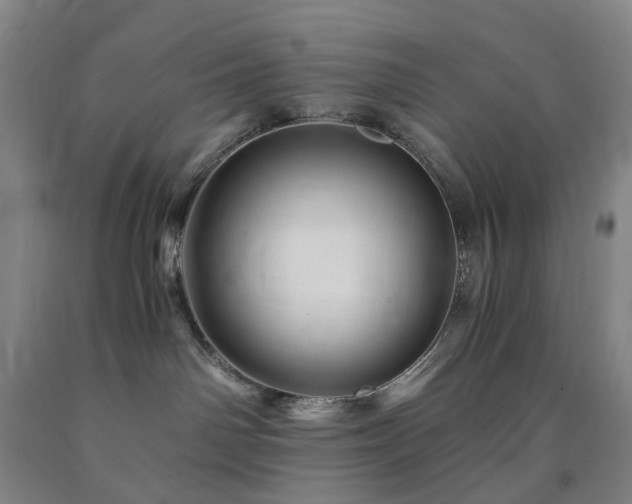 X0000090880142200707271319