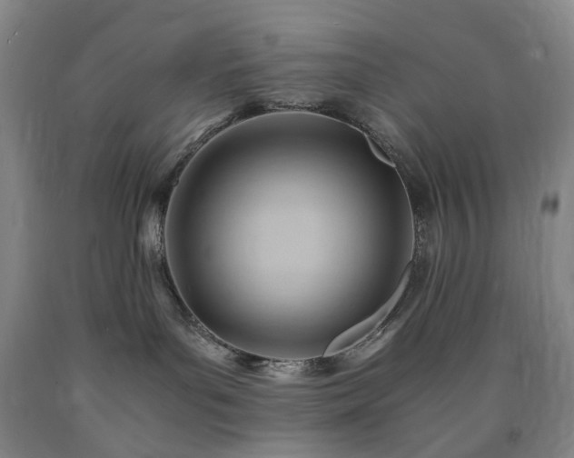 X0000090880143200707271319