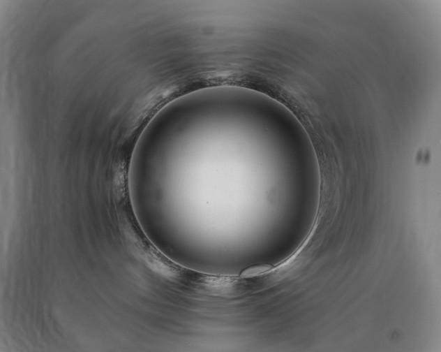 X0000090880144200707271319