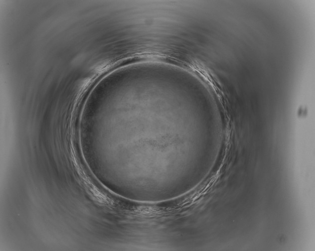 X0000090880145200707271318