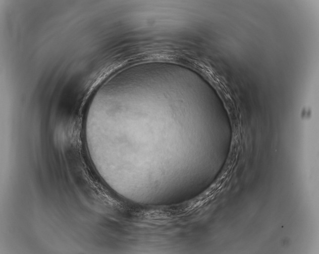 X0000090880146200707271318