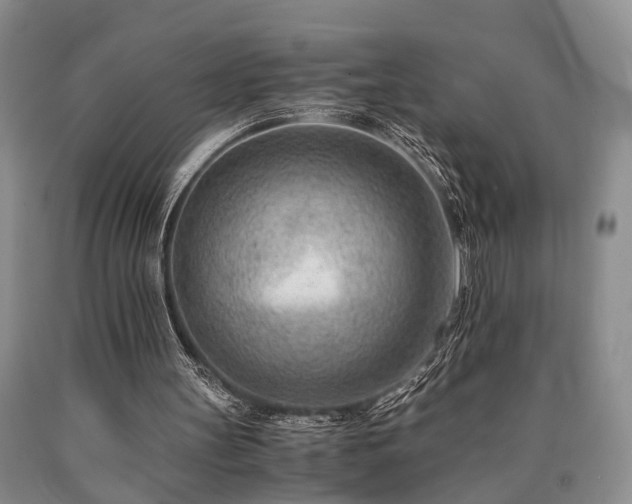 X0000090880147200707271318