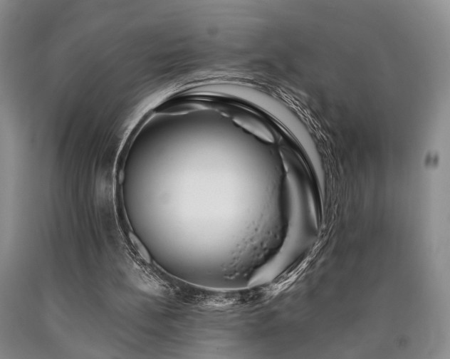 X0000090880148200707271318
