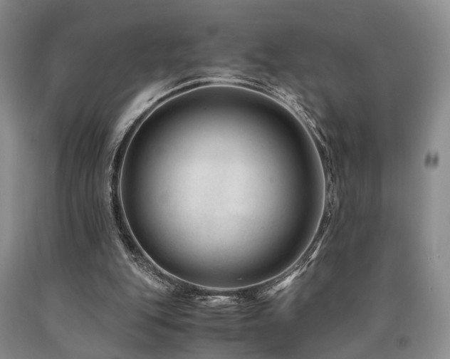 X0000090880151200707271318