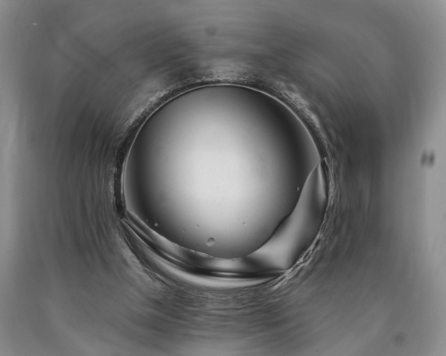X0000090880154200707271318