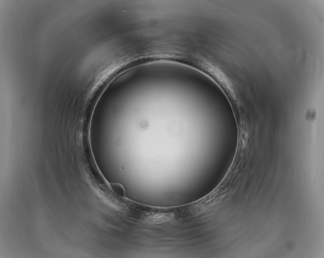 X0000090880155200707271318