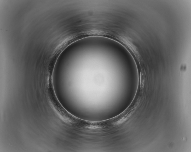 X0000090880157200707271318
