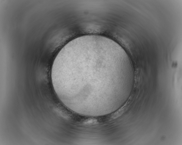 X0000090880162200707271318