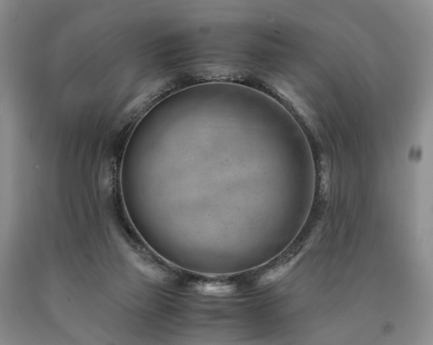 X0000090880165200707271318