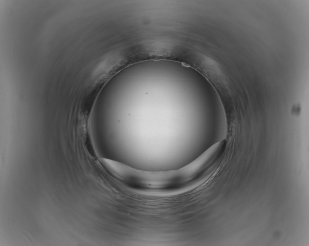 X0000090880172200707271318